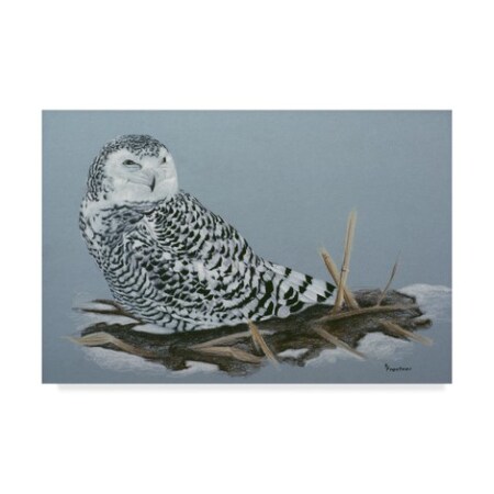 Rusty Frentner 'Owl' Canvas Art,30x47